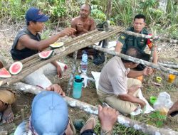 Upaya Swasembada Pangan, Babinsa Koramil 01/Bkn Komsos Bersama Petani Semangka