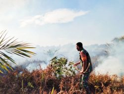 Lima Hektar Lahan Gambut di Rokan Hulu Riau Terbakar