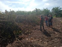 Babinsa Laksanakan Patroli di Kebun Masyarakat Cegah Karhutla