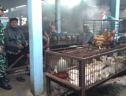 Babinsa Sambangi Pedagang Ayam Potong di Pasar Yang Merupakan Desa Binaan