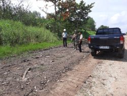 Patroli dan sosialisasi Rutin Babinsa Bersama Pihak Perusahaan Selalu Ingatkan Warga binaan Jagan Bakar Lahan