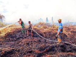 Puluhan Hektar Lahan Gambut di Rokan Hulu Riau Kembali Terbakar, Petugas Gabungan Turun
