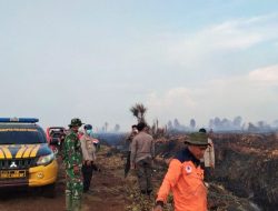 30 Hektar Lahan Gambut di Rokan Hulu Riau Padam, Petugas Laksanakan Pendinginan