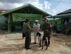 Koramil 09/Langgam Serahkan Qurban Satu Ekor Kambing Kepada Panti Asuhan