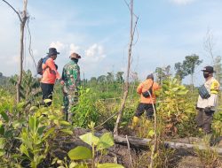 Bersama Tim Patroli Terpadu Babinsa Lubuk Kembang Bunga Lakukan Patroli Karhutla