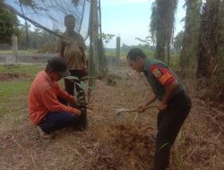 Lestarikan Lingkungan Agar Tetap Terjaga, Babinsa Koramil 16/Tapung Bersama Warga Tanam Pohon Penghijauan