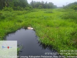 Sungai Genduang Tertutup Kumpai, Ikar Sebut PT SLS Tak Lagi Bersihkan Kumpai