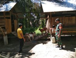 Babinsa Komsos Dengan Peternak Kambing di Desa Binaan