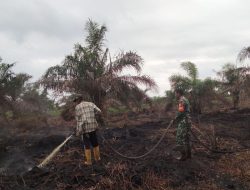 Cerita Perjuangan Petugas Melakukan Pendinginan di Lahan Gambut