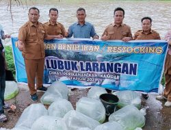 Dinas Perikanan Kampar Tebar 10.000 Benih Ikan Mahser Didesa Tabing
