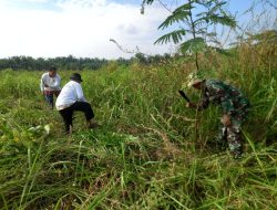 Sukseskan Ketahanan Pangan, Babinsa Bantu Warga Membuka Lahan