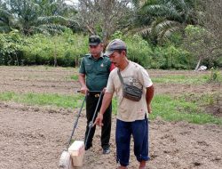 Serda Safran Hasibuan Ikut Menyiapkan Lahan Kedelai