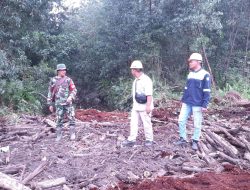 Bersama Pihak PT Arara Abadi Babinsa Koramil 15/KK Gencarkan Patroli Di Wilayah Rawan Karhutla
