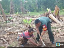 Jaga Keseimbangan Alam, Babinsa Koramil 16/Tapung Bersama Warga Tanam Pohon Penghijauan