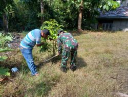 Jaga Kelestarian Alam, Babinsa Koramil 07/Kampar Bersama Perangkat Desa Lakukan Penghijauan