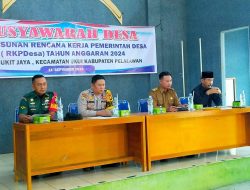BABINSA SERDA EFRIZAL HADIRI RAPAT RPKDES ANGGARAN TAHUN 2024