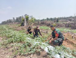 Upaya Ketahanan Pangan di Desa Binaan, Babinsa Koramil 01/Bkn Komsos Bersama Petani Semangka