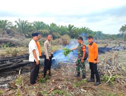 Kebakaran Lahan Kembali Terjadi di Rokan Hulu Riau, Petugas Temukan Ban Bekas