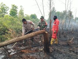 Kebakaran Lahan, Babinsa Koramil 07/Kampar Lakukan Pemadaman Api