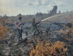 Babinsa BersamaTim Gabungan Padamkan 5 Hektar Lahan Terbakar