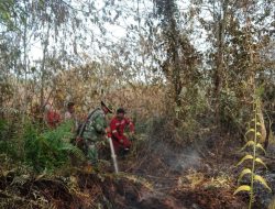 Babinsa 07/Kampar Padamkan Karhutla di Desa Rimbo Panjang