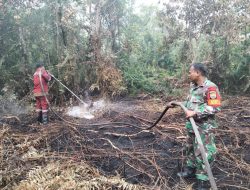 Babinsa Koramil 07/Kampar Bersama Tim Gabungan Lakukan Pendinginan Kebakaran Lahan di Desa Rimbo Panjang