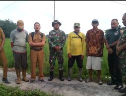 Danramil 01/Bkn Mayor inf Yuhardi dan Babinsa Monitoring Lahan Hanpangan Padi di Wilayah Koramil 01/Bkn