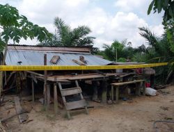 Babinsa Bersama Tim Gabungan Robohkan Pondok-Pondok Ilegal Milik Warga Yang Merambah Hutan