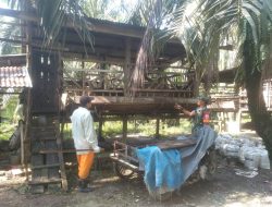 Antisipasi Penyakit PMK Pada Hewan Ternak Kambing, Babinsa Komsos Dengan Peternak