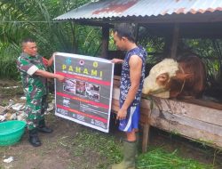 Babinsa Koramil 01/Bkn Kunjungi Peternak Sapi dan Sosialisasi Penyakit PMK