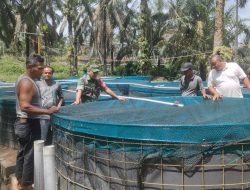 Babinsa Koramil 08/Tandun Dampingi Kelompok Pembudidayaan Perikanan Dengan Sistem Bioflok