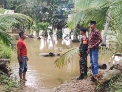 Tingginya Curah Hujan Babinsa Pantau Ketinggian Air di Bantaran Sungai Batang Sosah