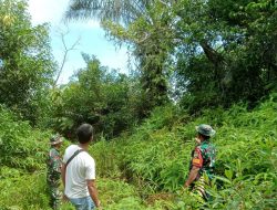 Cegah Karhutla, Babinsa Koramil 12/XIII Koto Kampar Laksanakan Patroli dan Sosialisasi Karhutla