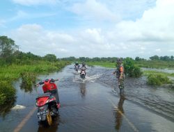 Babinsa 09/Langgam Pantau Lokasi Banjir Di Wilayah Binaan