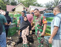 Babinsa Koramil 01/Bkn Dampingi Pemerintahan Desa Salurkan Bibit Ayam Kepada Masyarakat