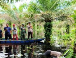 Geger! Seorang Pria di Temukan Warga Tewas Mengapung di Kanal Kebun Sawit