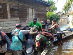 Babinsa Koramil 09/Langgam Bantu Warga Terdampak Banjir Di Kelurahan Kerinci Kota