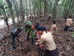 Buktikan Kepedulian Terhadap Lingkungan, Babinsa Koramil 16/Tapung Bersama Pelajar Pramuka Tanam Pohon Penghijauan