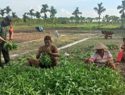 Pererat Sinergitas Babinsa Koramil 05/Kampar Kiri Komsos Dengan Perangkat Desa