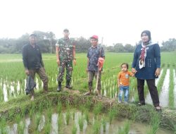 Babinsa Koramil 01/Bkn dan Petani Meninjau Lahan Sawah Yang Akan Menerima Bantuan Pompa Air