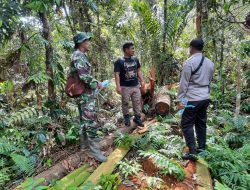 Babinsa koramil 15/kk Serka Humaidi Bersama Pihak Perusahaan Laksanakan Rutinitas Patroli Karhutla