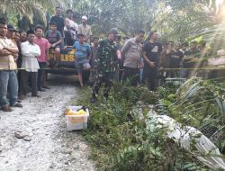 Terima Informasi Temuan Mayat, Babinsa Koramil 16/Tapung Bersama Bhabinkamtibmas Sigap Datangi TKP