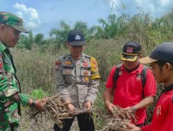 Ini Langkah Pencegahan Karhutla Dilakukan Petugas di Kabupaten Rokan Hulu