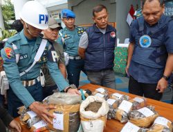 Penyelundupan 13 Kg Ganja Berhasil Digagalkan TNI AL