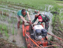 Babinsa Dampingi Petani Bajak Sawah Demi Mewujudkan Ketahanan Pangan Nasional