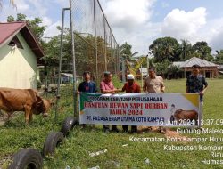 PT Padasa Enam Utama Kokar Serahkan Bantuan Hewan Qurban di 4 Desa Dari Program CSR/TJSP