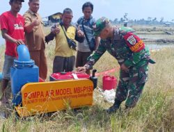 Sukseskan Program Pompanisasi Kementan, Babinsa Koramil 03/Bunut Dampingi Petani
