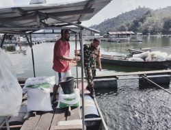 Monitor Wilayah, Babinsa Koramil 01/Bkn Sambangi Budi Daya Ikan Keramba di Desa Binaan