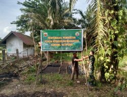 Upaya Mendukung Program Penghijaun, Koramil 16/Tapung Laksanakan Penyemaian Bibit Pohon Keras