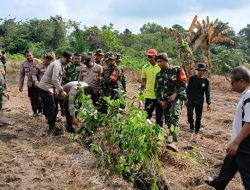 Kegiatan Pembinaan Lingkungan Hidup, Koramil 06 Siak Hulu Galakkan Penghijauan